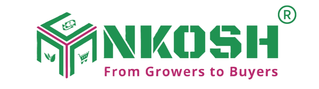 NkoshBlog